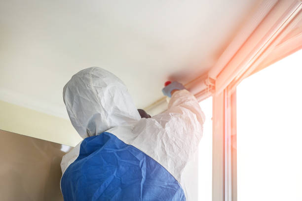  , USA Mold Removal Services Pros